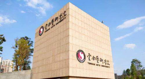 網友建議 南京藝術學院更名為中國藝術學院 ,但是有政策阻礙啊